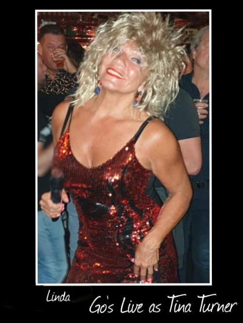 Linda, Tina Turner Tribute www.artiesten.club
